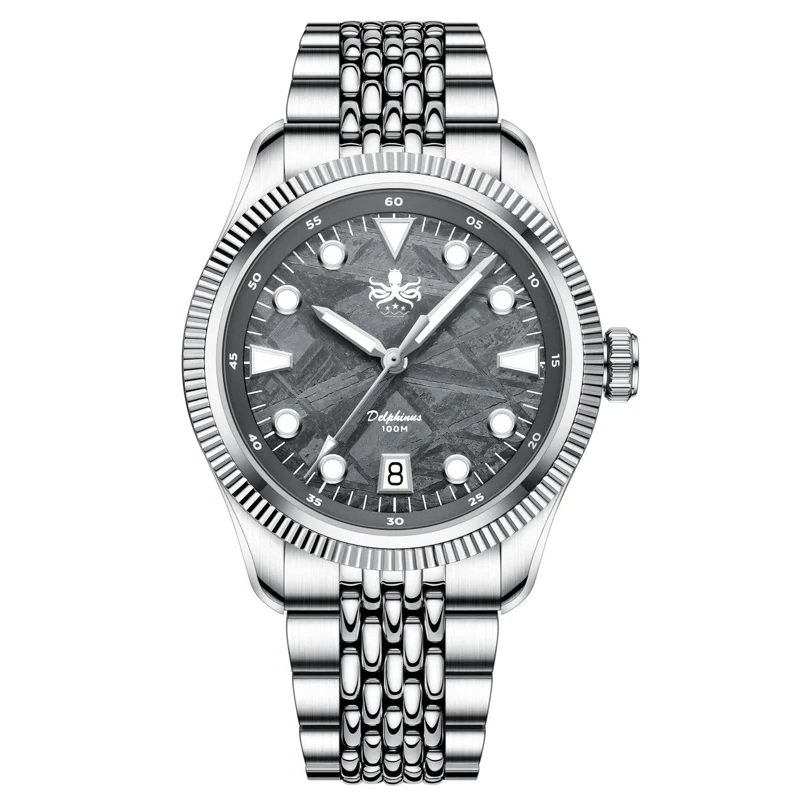 PHOIBOS Delphinus 100M Automatic Watch PY066D Gray Meteorite
