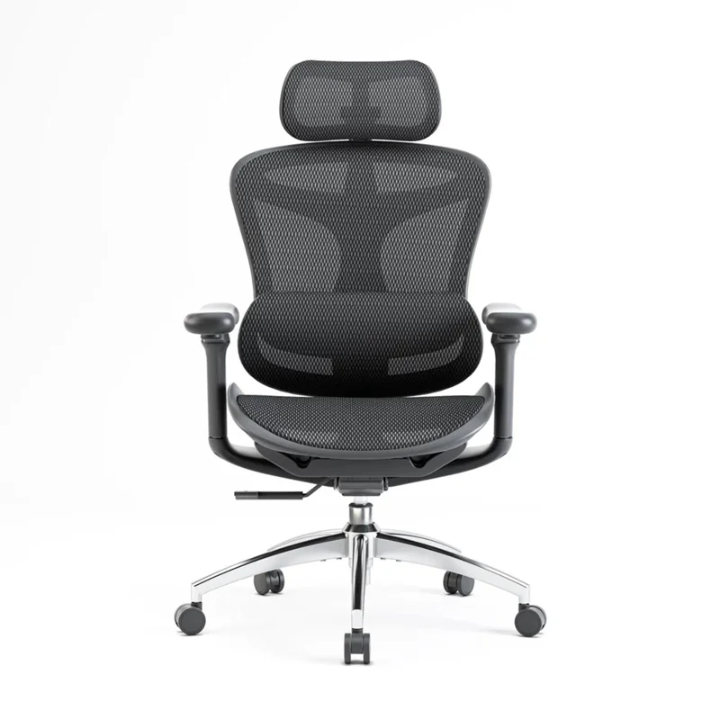 Sihoo C300 Ergonomic Office Chair with Advanced Back Support - Black / Standard Version